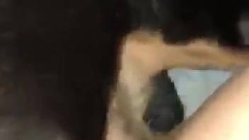 Hot animal sex scene with a super dirty creature
