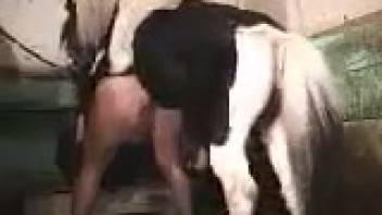 Experienced woman experiences huge horse dick stretching her craving pussy