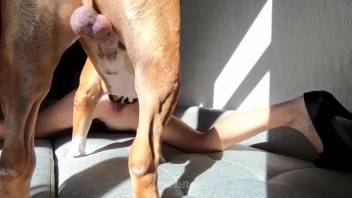 Amazing sex scene with a flexible zoophile chick