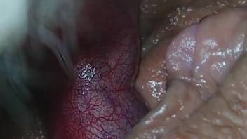 Super rigid and bulging-veined canine dick assaults that orifice