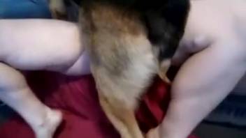 Intimate pounding with a firm-ass honey who adores canines