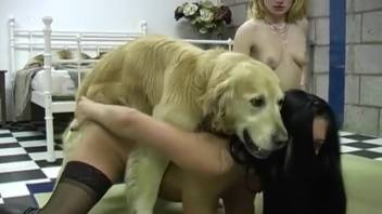 Attractive ladies sharing one cock in a steamy film