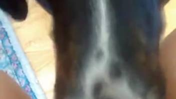 Lewd first-person cunt munching featuring a super hot beast