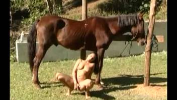 Hot Latina experiences massive horse cock in her cunt roughly