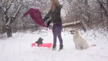 Bouncy-assed blonde chick getting banged by a white dog