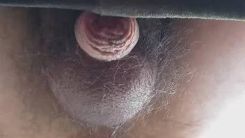 Strong closeup with a man taking a horse dick up the ass