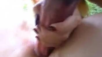 Busty blonde delivers a messy oral session on an enormous horse-like penis prior to intercourse