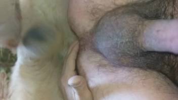 Guy with a furry dick being anally screwed by a canine
