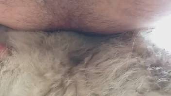 Bearded-butt guy banging a perverse monster fervently
