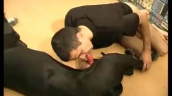 Homosexual man performs fellatio on his dog's erect penis in a messy fashion