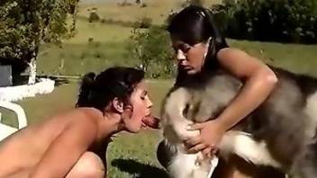 Two hot babes are ready for oral loving with a dog