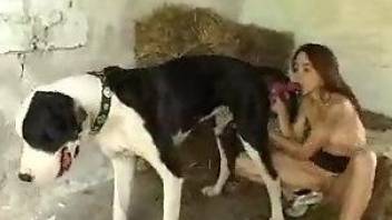 Leggy gal puts that dog penis in her horny ass mouth