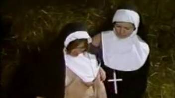 Novice sisters savoring a donkey in secretive bestiality adult delights