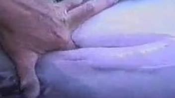 Man loves fingering fucking the horse in the ass and vagina