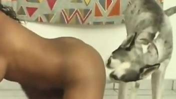 Latin lady masturbates and teases a dog with her she-cock