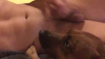 Nude guy enjoys broadcasting private moments on webcam with his canine