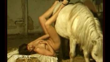 Busty woman loves making out with the horse in such flaming zoo scenes
