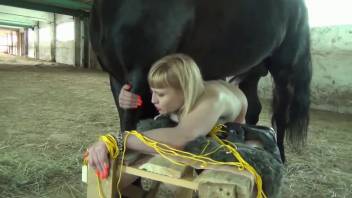 Intense extreme animal depravities for a big-butted housewife in her forties