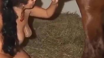 Busty dark-haired babe adores a stallion's steamy shaft