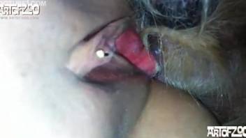 Dog sex in her wet pussy