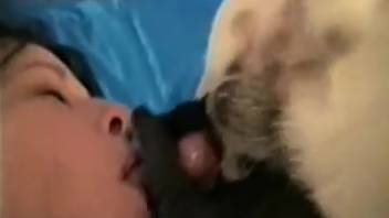 Dark-haired woman in black netting fucked by a canine on the bed