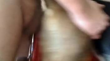 Unique amateur canine deviances where a dude sodomizes his pooch