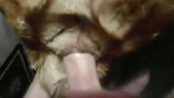 Guy with an impressive dick slams that cunt roughly