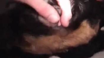 Guy pounding a monster's snug orifice with his thick dick