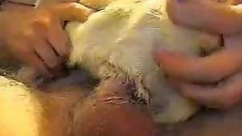 Tight pussy dog impaled on a nice human cock