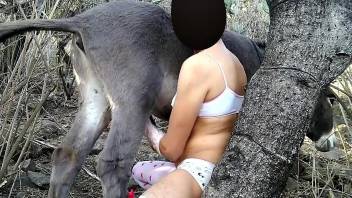 Kinky outdoor zoophilia with the horse by sucking its dick