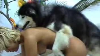 Two eager Latin American female friends perform oral sex on a male dog's penis while being recorded.