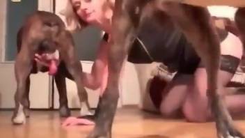 Fine blonde gets intimate with both her dogs