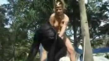 Naked babe gets roughly fucked by a chimp in crazy zoo scenes