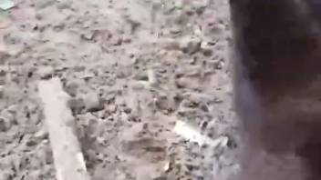 Soaked vaginal creature pleading for human contact