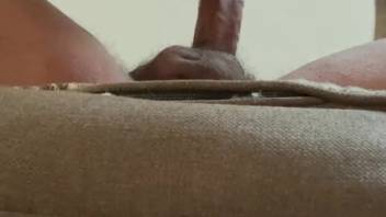 Aroused guy masturbates as the dog sloppily licks his penis