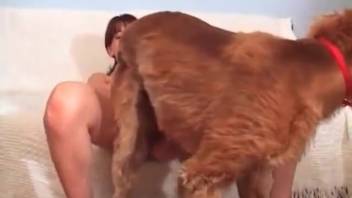 Fiery-haired vixen with alluring curves, private bare doggy-style action at home