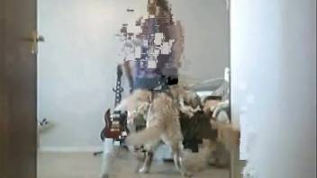 Amateur footage of nude spouse withstanding the canine during several bouts of intercourse