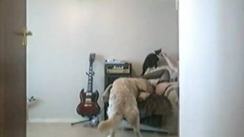 Home video with naked wife enduring the dog for a few sex rounds