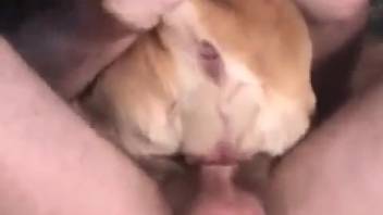 Divinely stunning bitch gets skewered on that cock