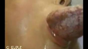 Slender vixen senses full canine shaft thrusting into her deeply