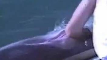 Dude fist-fucking a dolphin's succulent sea cunt