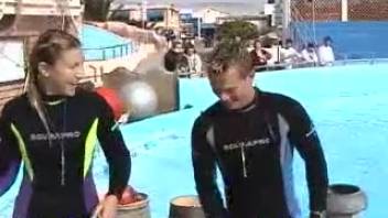 Female diver demonstrates the appearance of a dolphin's penis when aroused