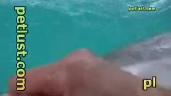 A zoophile softly caresses the stiffened penis of a marine creature using his hand