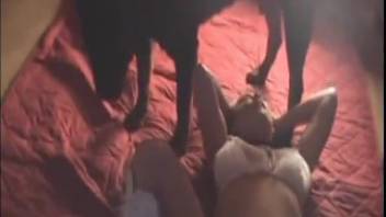 Ebony brute ravages a horny brunette on the bed
