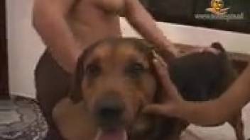 Nude women employing a dog for their personal sexual pleasure