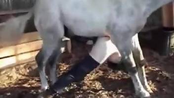 White horse fucking a tight hole from behind