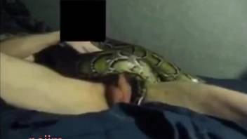 Snake is ready to get fucked by a snake-fucking guy