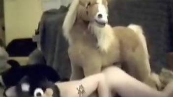 Naked male shares role play zoophilia with his toy horse