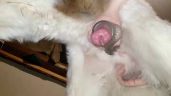 Guy is thrilled to pleasure himself with this creature's cock