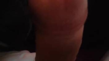 Naked guy masturbates in filthy solo act while flaunting zoophilic tendencies
